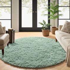 a living room filled with furniture and a green rug