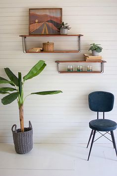 a chair and potted plant in front of a wall with shelves on the side