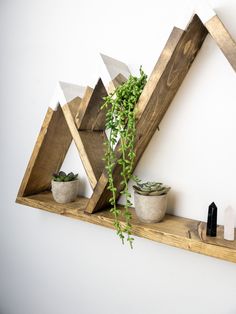 a wooden shelf with some plants on it