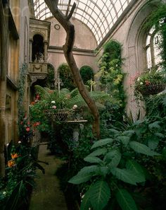 an indoor garden with lots of plants and flowers