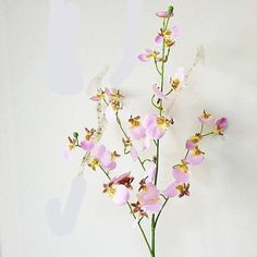 Long Stem Silk Peacock Dancing Orchid Arrangement Floral, Flag Country, Compressed Air, Dust Free, Orchid Flower, Amazing Flowers