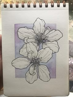 a drawing of some flowers on a piece of paper