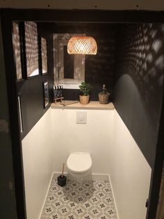 a small bathroom with a toilet in the corner and a plant on the counter next to it