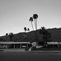 black and white photograph of palm trees in front of a house with mountains in the background