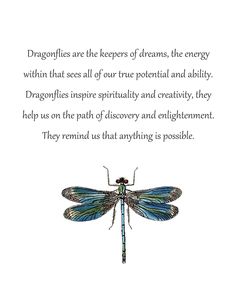 a dragonfly sitting on top of a piece of paper next to a poem written in english