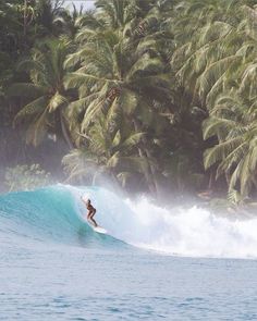 a man riding a wave on top of a surfboard in front of palm trees