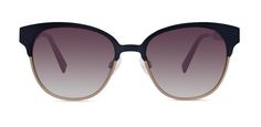 Derek Lam sunglasses STEPHANIE - by MODO Eyewear Derek Lam, Feminine Outfit, Modern Materials, For Today, Tortoise, Bones, 1970s, Sunglasses, Handbags