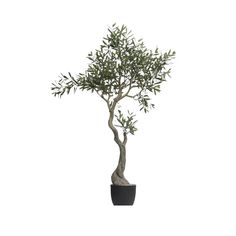 Faux Olive Tree in Pot - SEARED LIVING Olive Tree In Pot, Potted Olive Tree, Tree In Pot, Faux Olive Tree, Faux Tree, Potted Trees, Artificial Trees, In The Corner, Creative Co Op