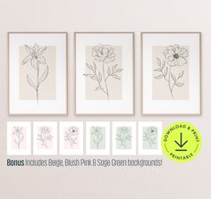 four framed flowers are shown in different colors and sizes, with the text below them