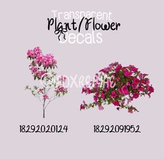 three different types of flowers are shown in this image