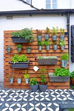 an outdoor garden with potted plants on a wooden wall