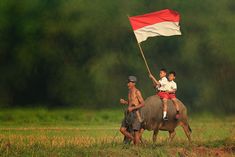 two people riding on the back of a buffalo while holding a flag in their hands