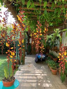 an outdoor area with potted plants and hanging planters on the sides of it