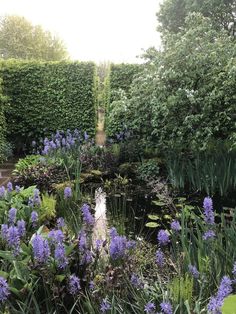 the garden is full of purple flowers and green bushes, with water running through it