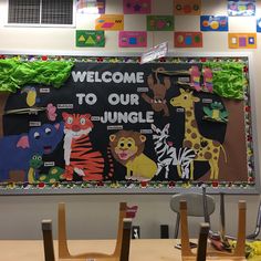 a welcome to our jungle bulletin board in a classroom