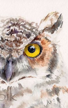 an owl with yellow eyes is shown in this watercolor painting