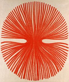 an orange and white print with lines in the shape of a sunburst on a beige background