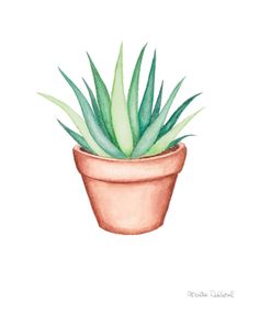 a watercolor painting of a potted plant with green leaves on it's top