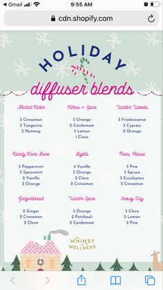 Holiday Diffuser Blends, Diffuser Scents, Christmas Diffuser Blends, Essential Oil Spray Recipes, Essential Oil Combinations, Simmer Pot, Young Living Essential Oils Recipes, Essential Oils Guide