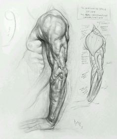 a pencil drawing of a man's legs and arm