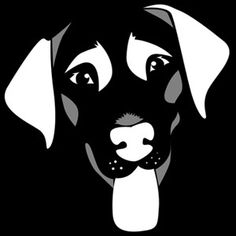 a black and white dog's face on a black background