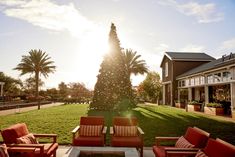 the sun shines brightly on a lawn with chairs and a fire pit in front of it