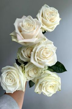 white roses are being held in a woman's hand