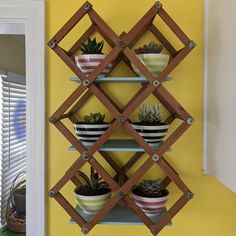 a wall mounted shelf with three planters and two succulents on it