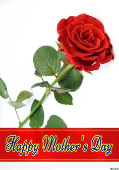 a happy mother's day card with a red rose