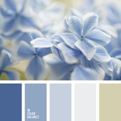 the color scheme is blue and gray, with white flowers in the center that matches the rest of the palette