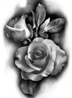 a black and white photo of a rose