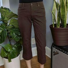 Womens Chocolate Brown Capris Pants Good 2000s Fairy Trendy earth tones cottage #ad Brands Outlet, Earth Tones, Chocolate Brown, Capri Pants, Capri, Size 2, Cottage, Women Accessories, Things To Sell