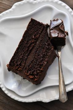 two pieces of chocolate cake on a white plate