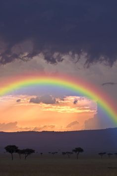 a rainbow appears in the sky over an open field