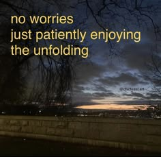 there is a quote on the wall that says no worries just patiently enjoying the unfolding