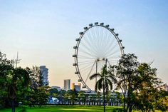 a large ferris wheel sitting in the middle of a lush green park next to tall buildings