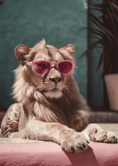 a lion wearing pink sunglasses sitting on top of a red table next to potted plants