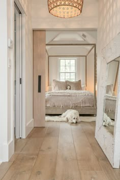 a dog laying on the floor in front of a bed