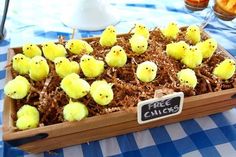 small yellow chicks in a wooden box on a blue and white checkered tablecloth