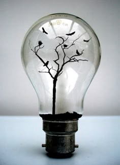 a black and white photo of a light bulb with a tree in the middle on it