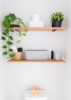 two wooden shelves above a toilet with plants on top and other bathroom items sitting on them