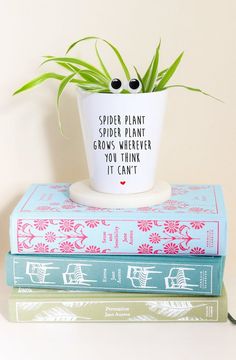 a potted plant sitting on top of two books with the words spider plant, the perfect gift for anyone