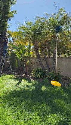 a yellow frisbee sitting on top of a lush green field next to a tree