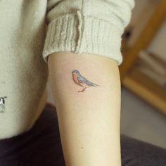 a small bird tattoo on the arm