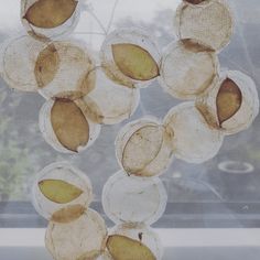 a bunch of fruit hanging from the side of a window sill in front of a tree