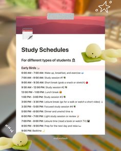 an image of a screen shot of the study schedule for students on their laptop computer