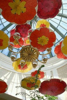 there are many umbrellas hanging from the ceiling in this building's dome room