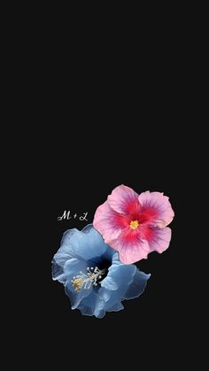 two pink and blue flowers on a black background with the words love me written in cursive writing