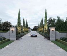 a car is parked in front of a driveway with trees and bushes on either side