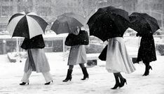 four women walking in the snow with umbrellas